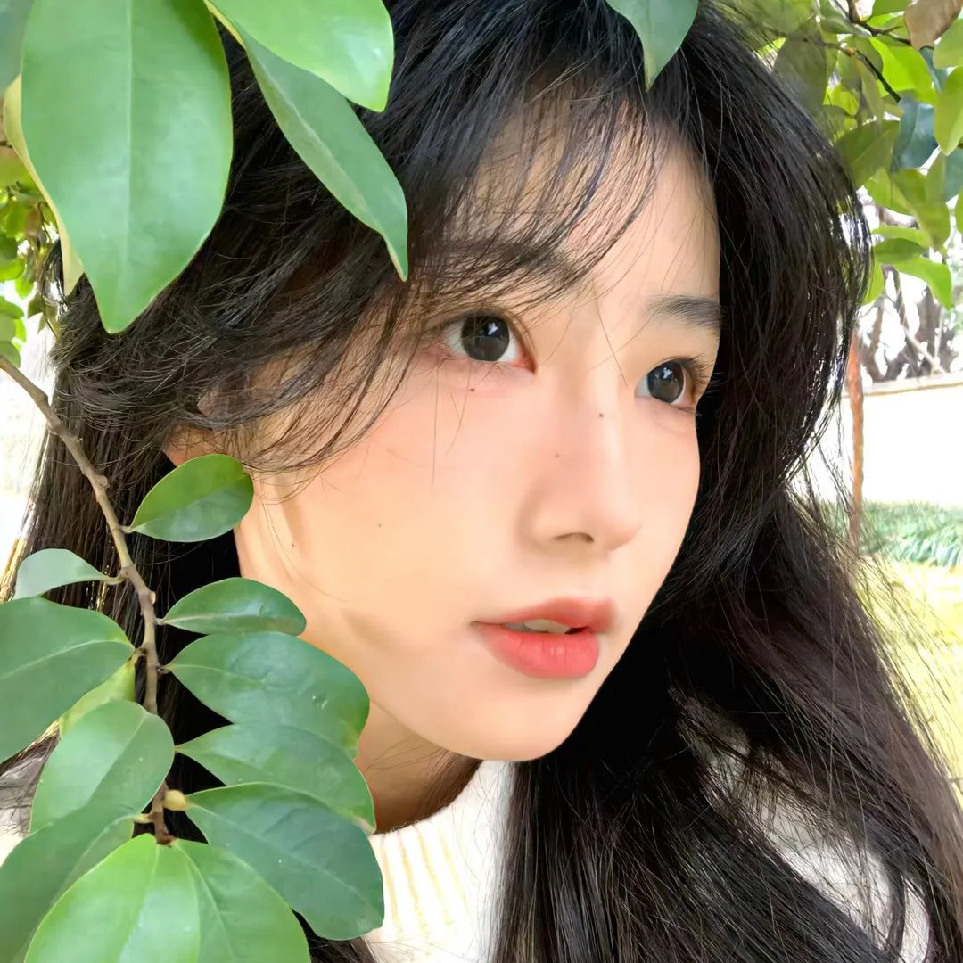 栀子花白兰花